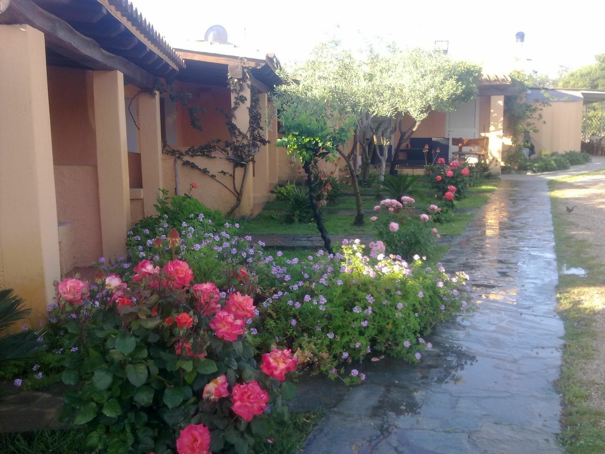 Residence La Pineta Budoni Exterior photo